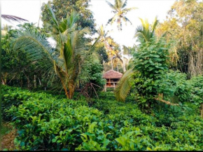 Tea Heaven - Glory